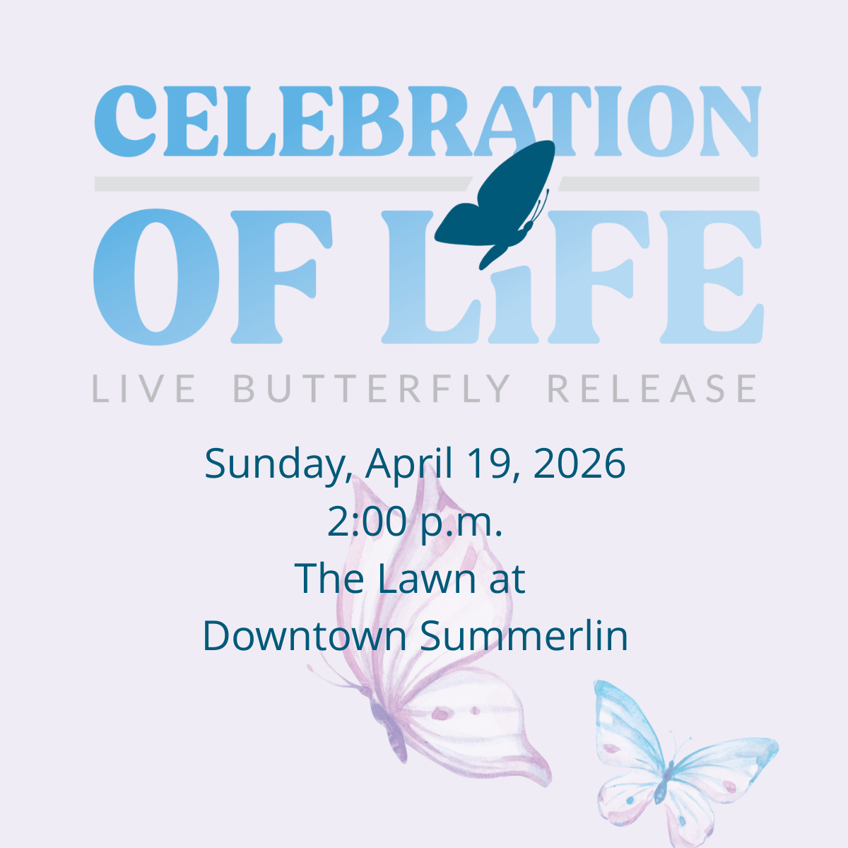 Social Media Butterfly 2026 DTS