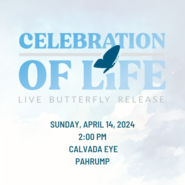 2024 p butterfly